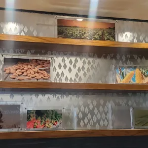 Acrylic frame for photography showcase