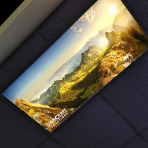 Fluorescent light film