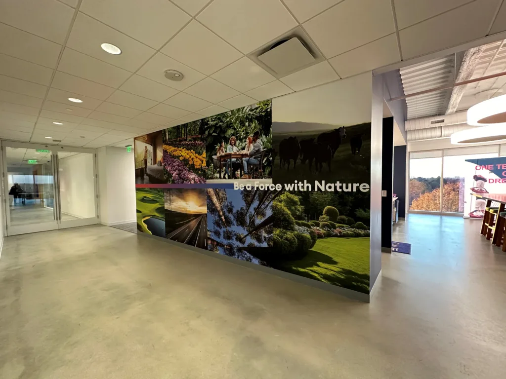 Wall Graphics